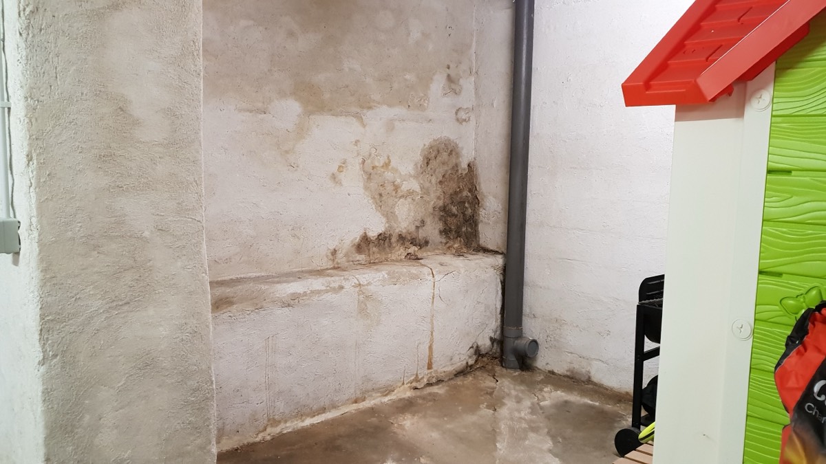 Infiltrations d'eau - Expertise humidité à Toulouse